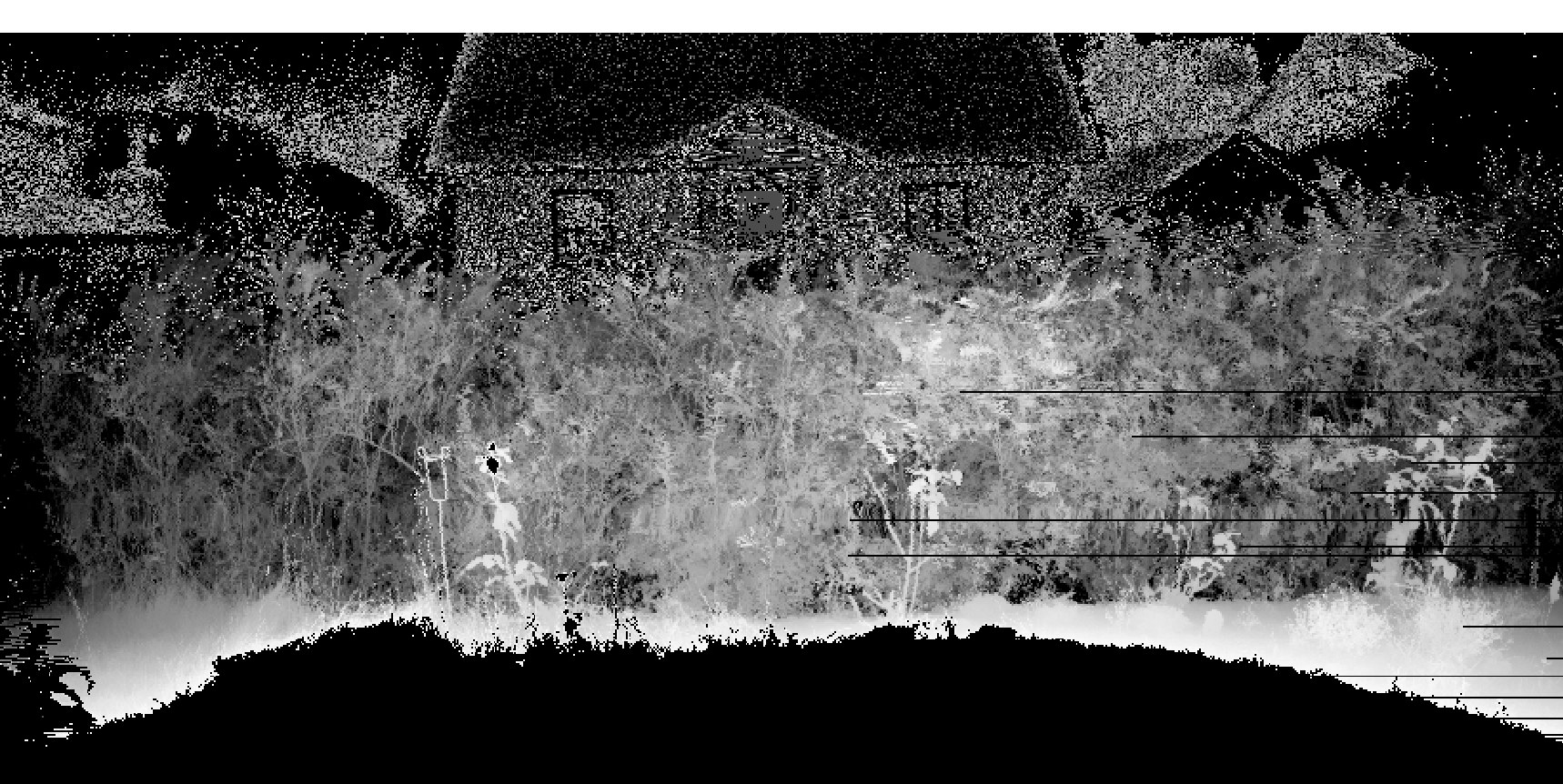 vegetation laser scannned